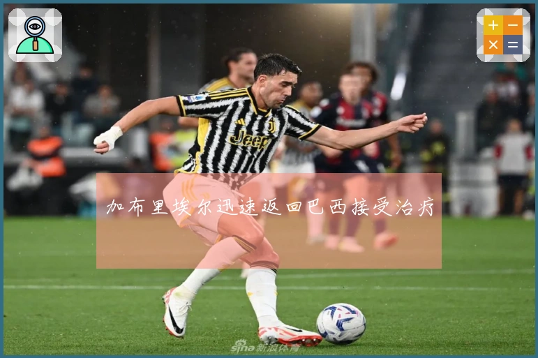 加布里埃尔迅速返回巴西接受治疗